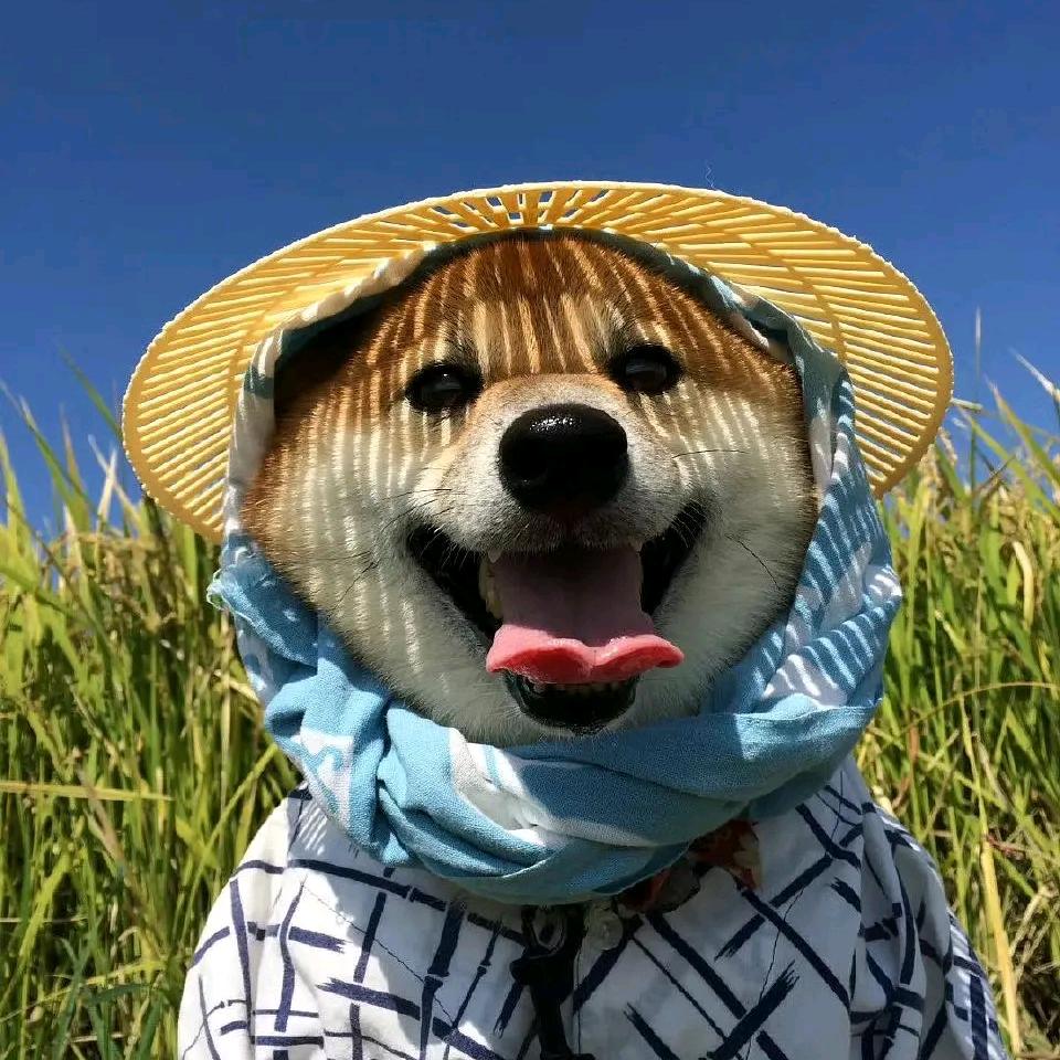 柴可夫斯基