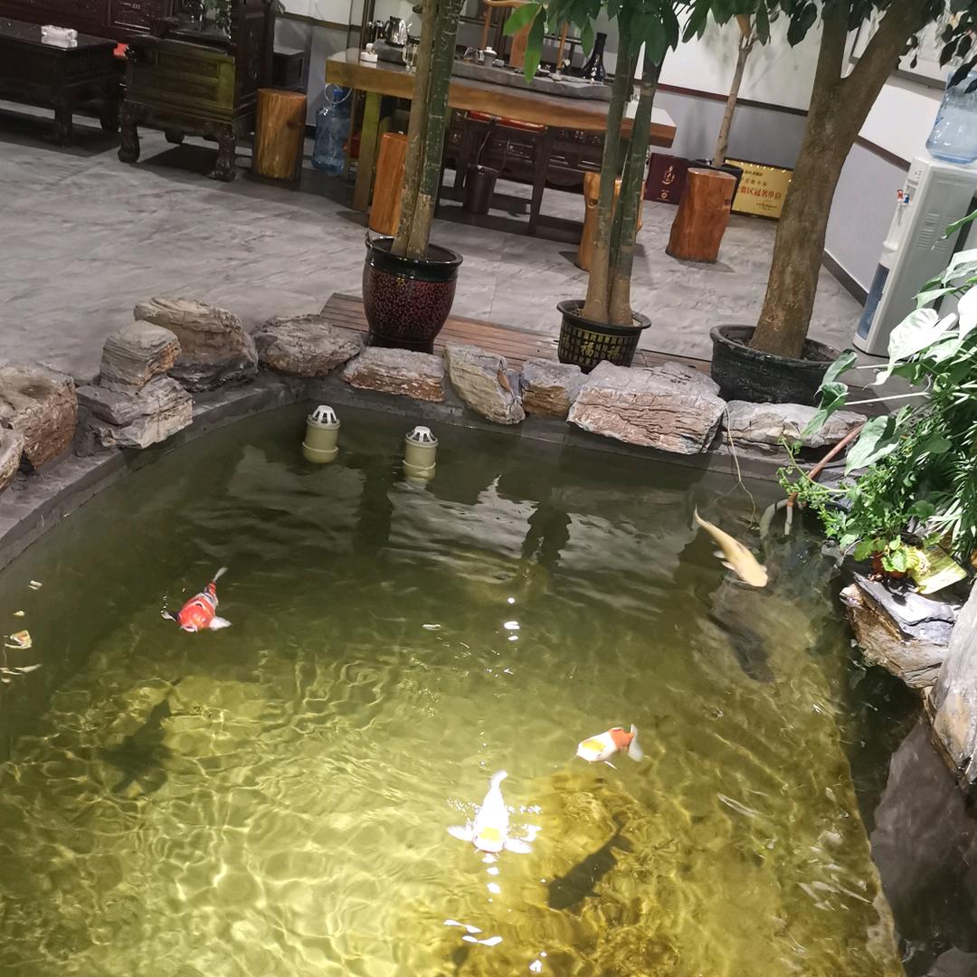 铜梦世界