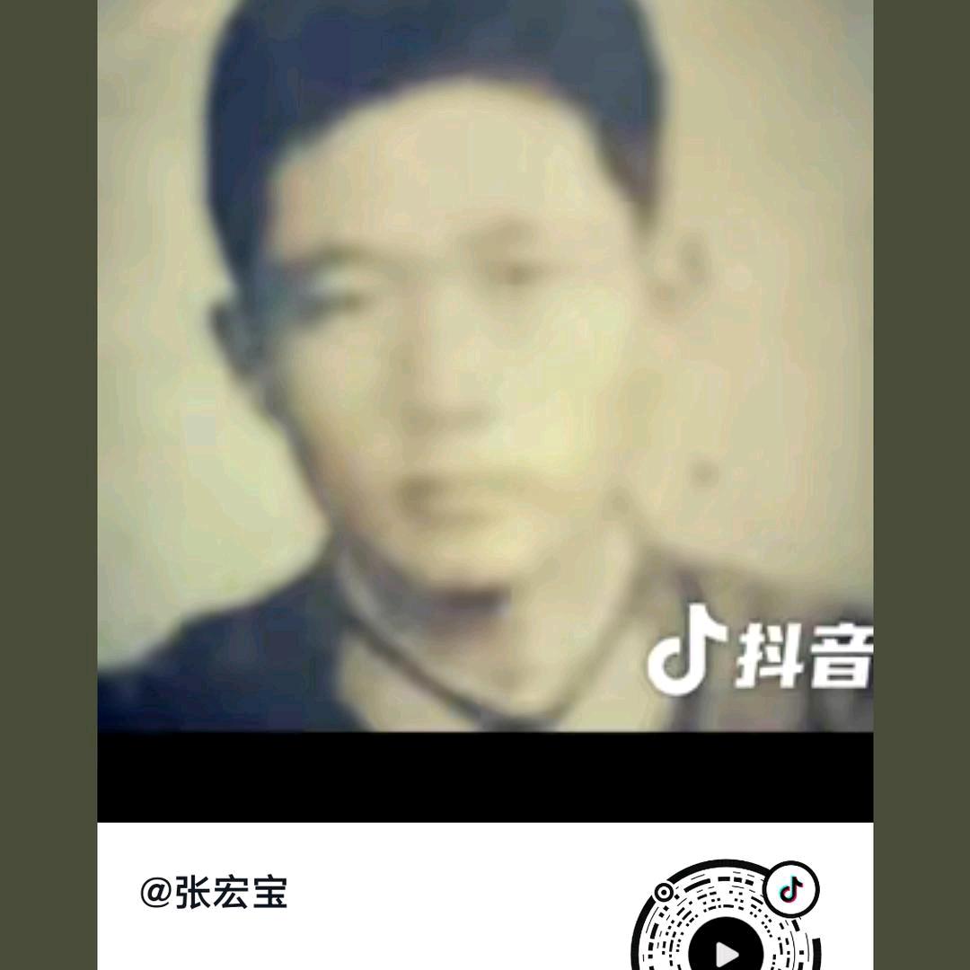 大宝波司登
