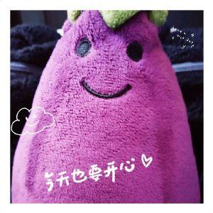 茄子酱酱酱酱姜