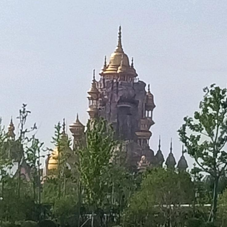 今天的阳光太明媚！