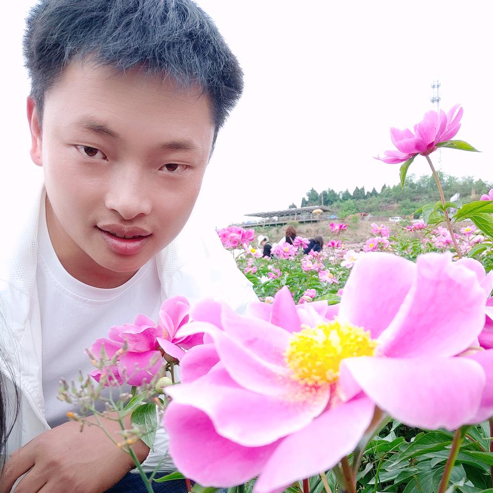 在你的世界里降落