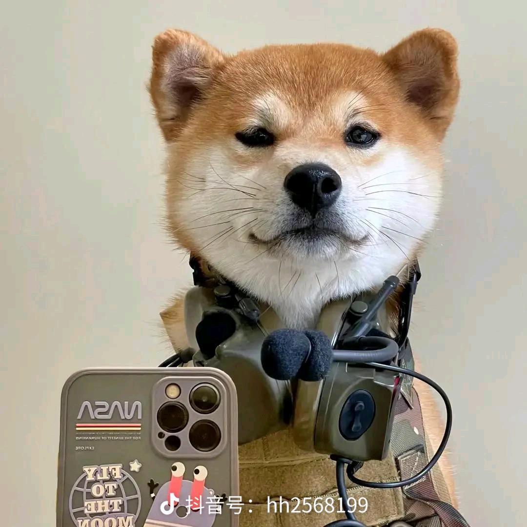 3678
