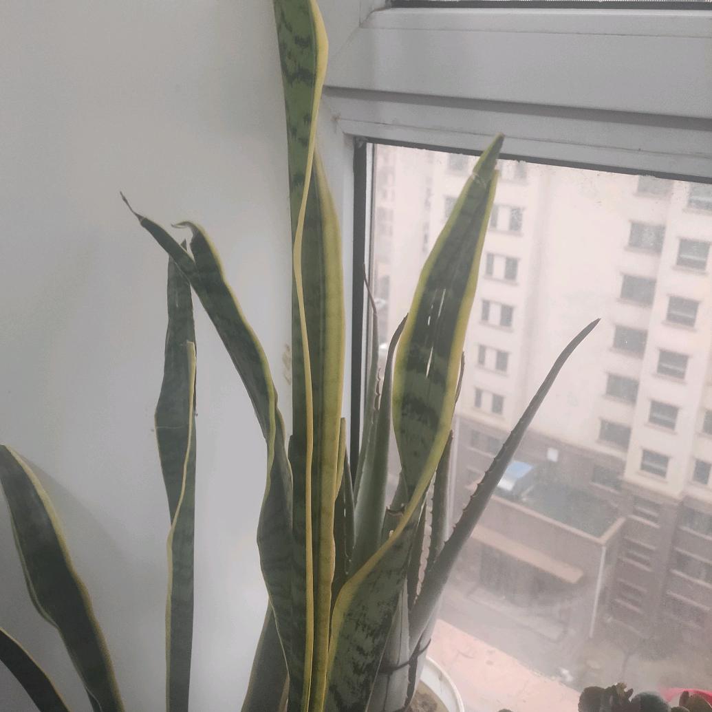 爱折腾的唐哥