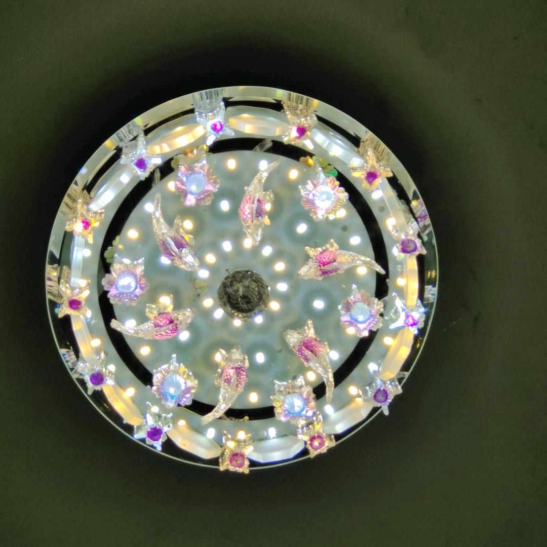 🌜月亮居民🌛