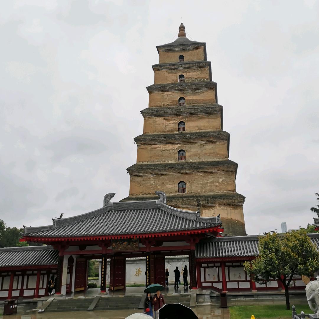 成都鹏驰佳螺丝Lily