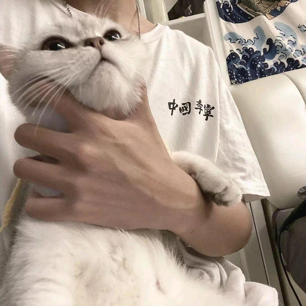 打瞌睡的艺术