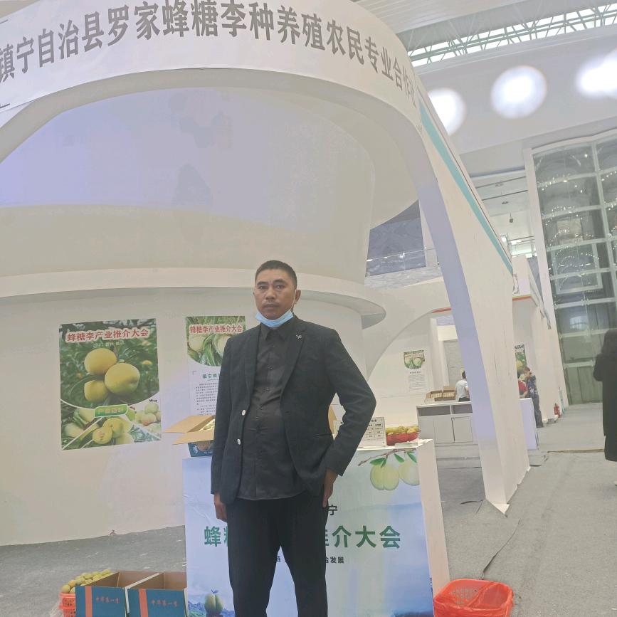 弄袍大奎蜂糖李罗家蜂糖李果树苗木专卖店