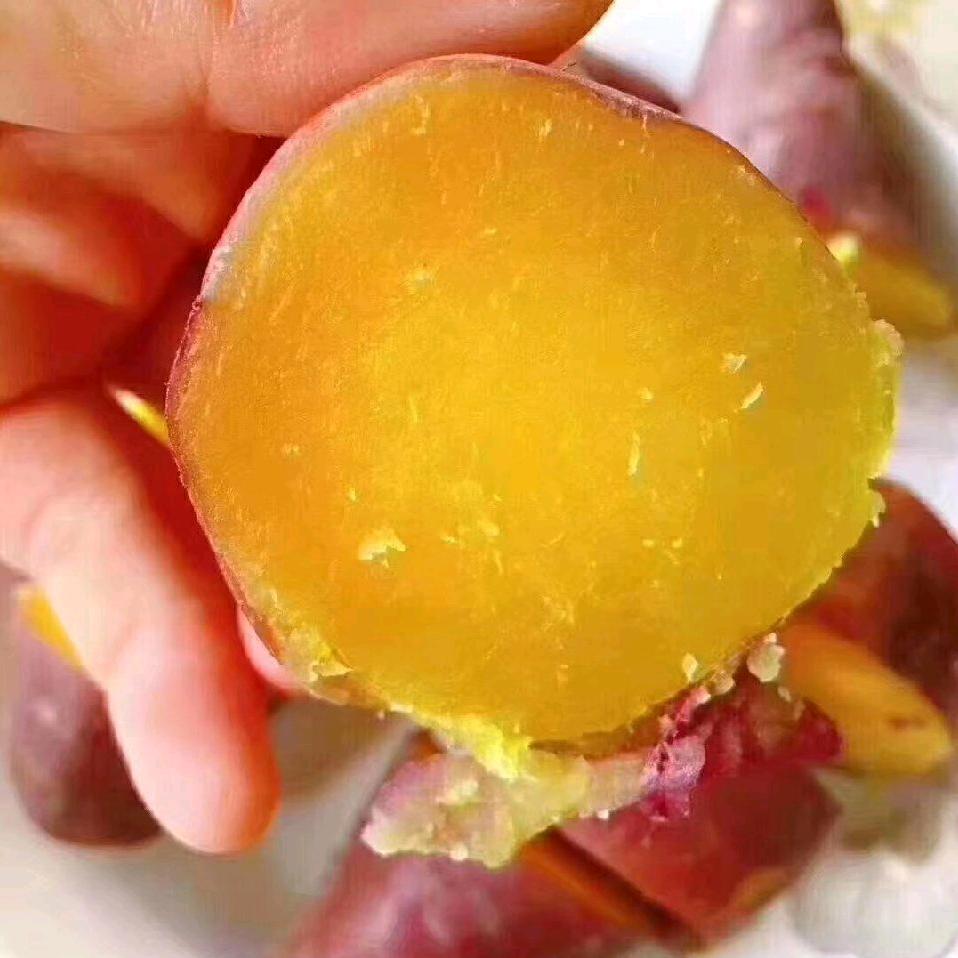 绿油油生态农品