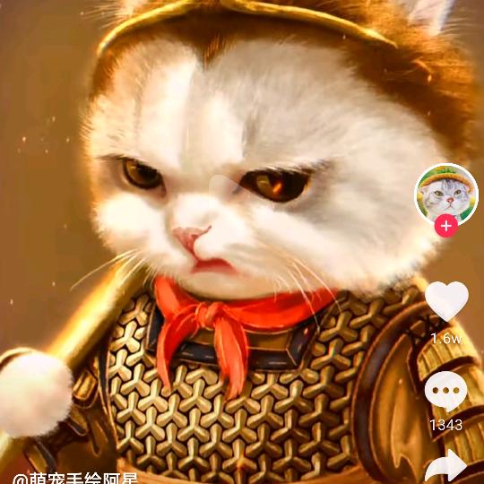 时光倾城，却温暖不了人心