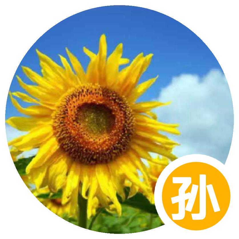 脚踏实地