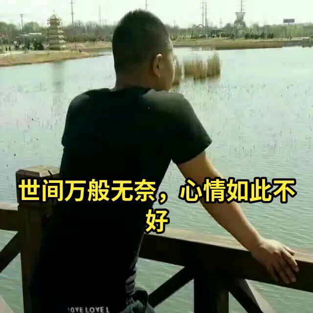M☞总监☜