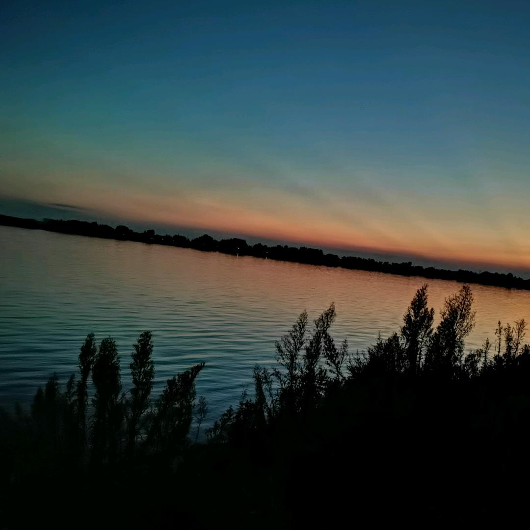 碧桂园道口童子鸡