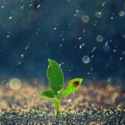 生活嘛，笑一笑就好了