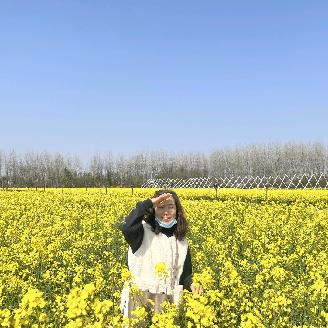 柠檬不萌只是酸