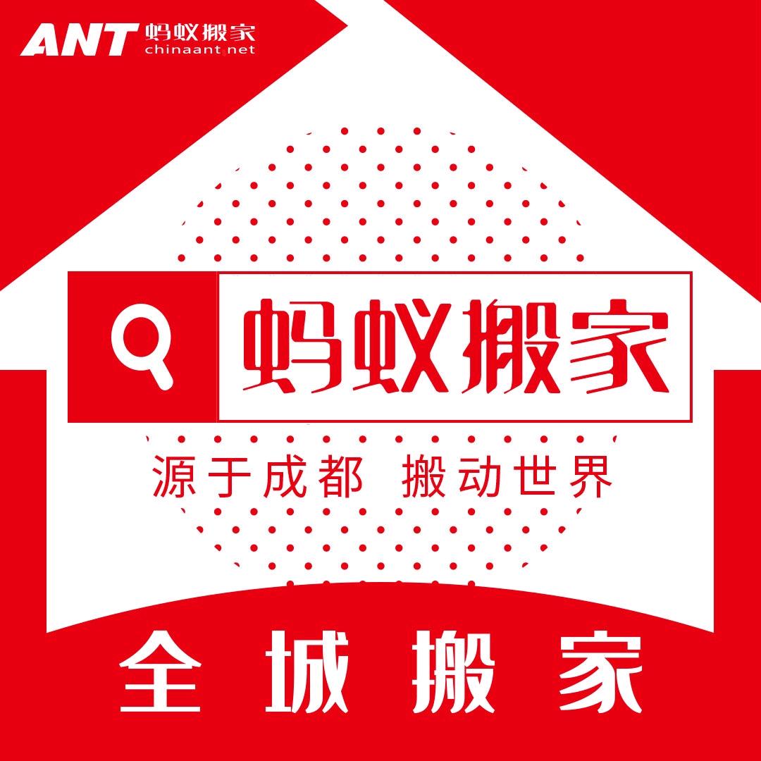长沙蚂蚁搬家