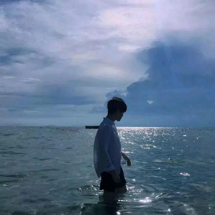 叶🌴辰
