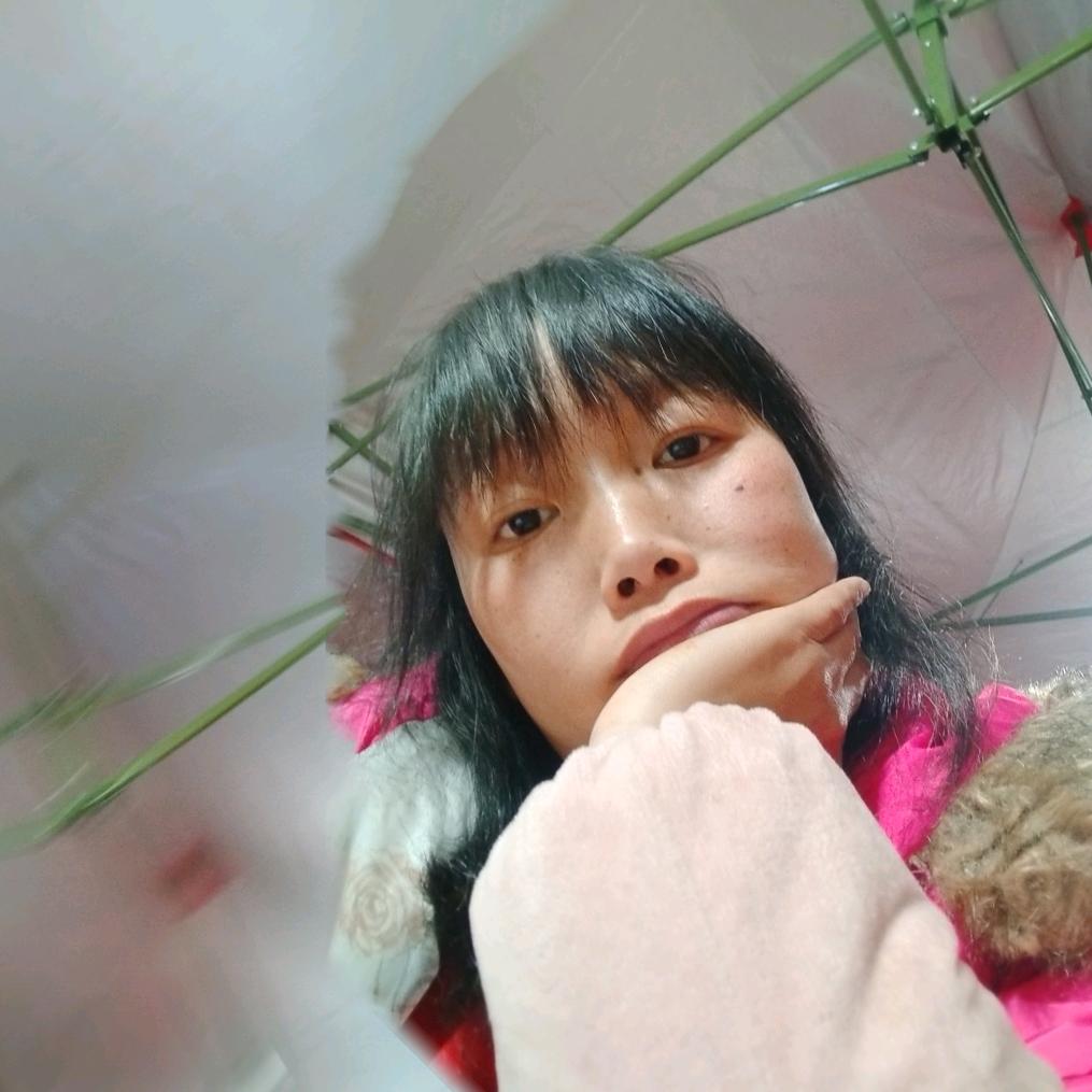 花花落落