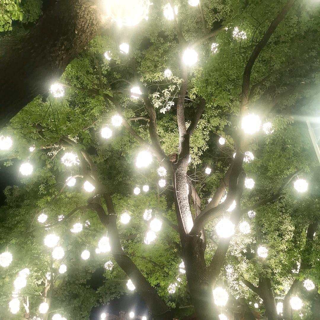 小葡萄干？？？