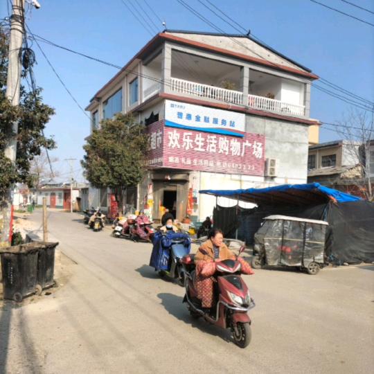 大树