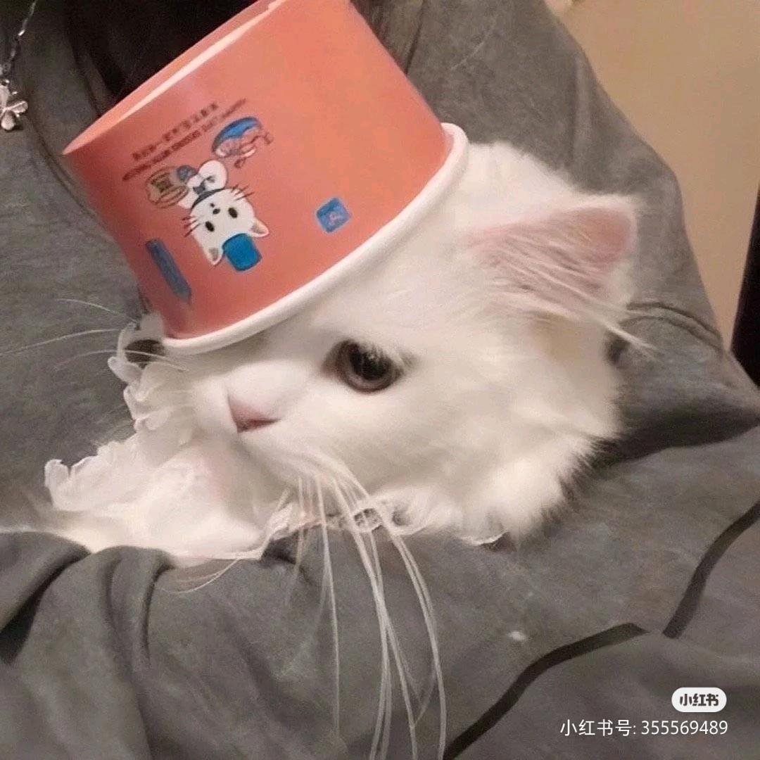 ℳ温让