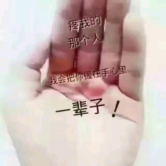 不离不弃