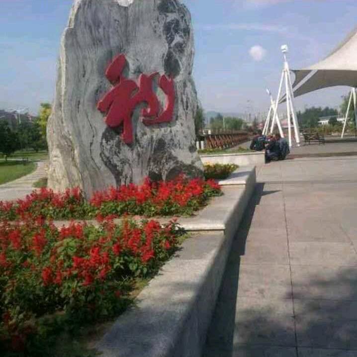 一往情深