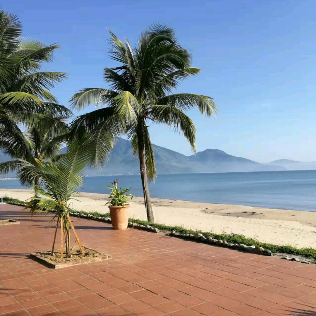 清逸静致