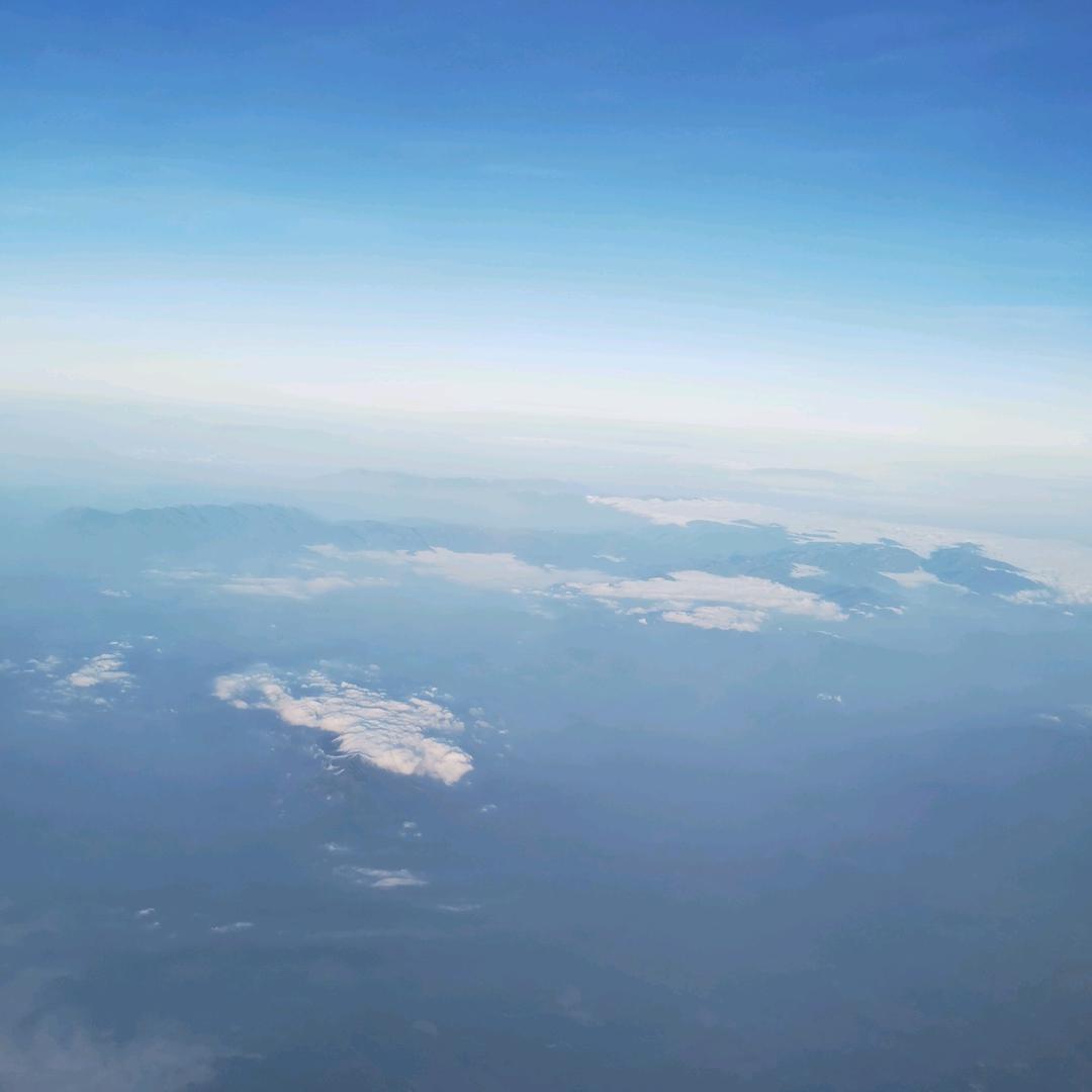 刘大锅