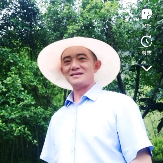 张仙森