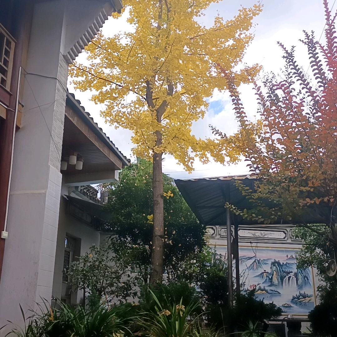 巜新田园》