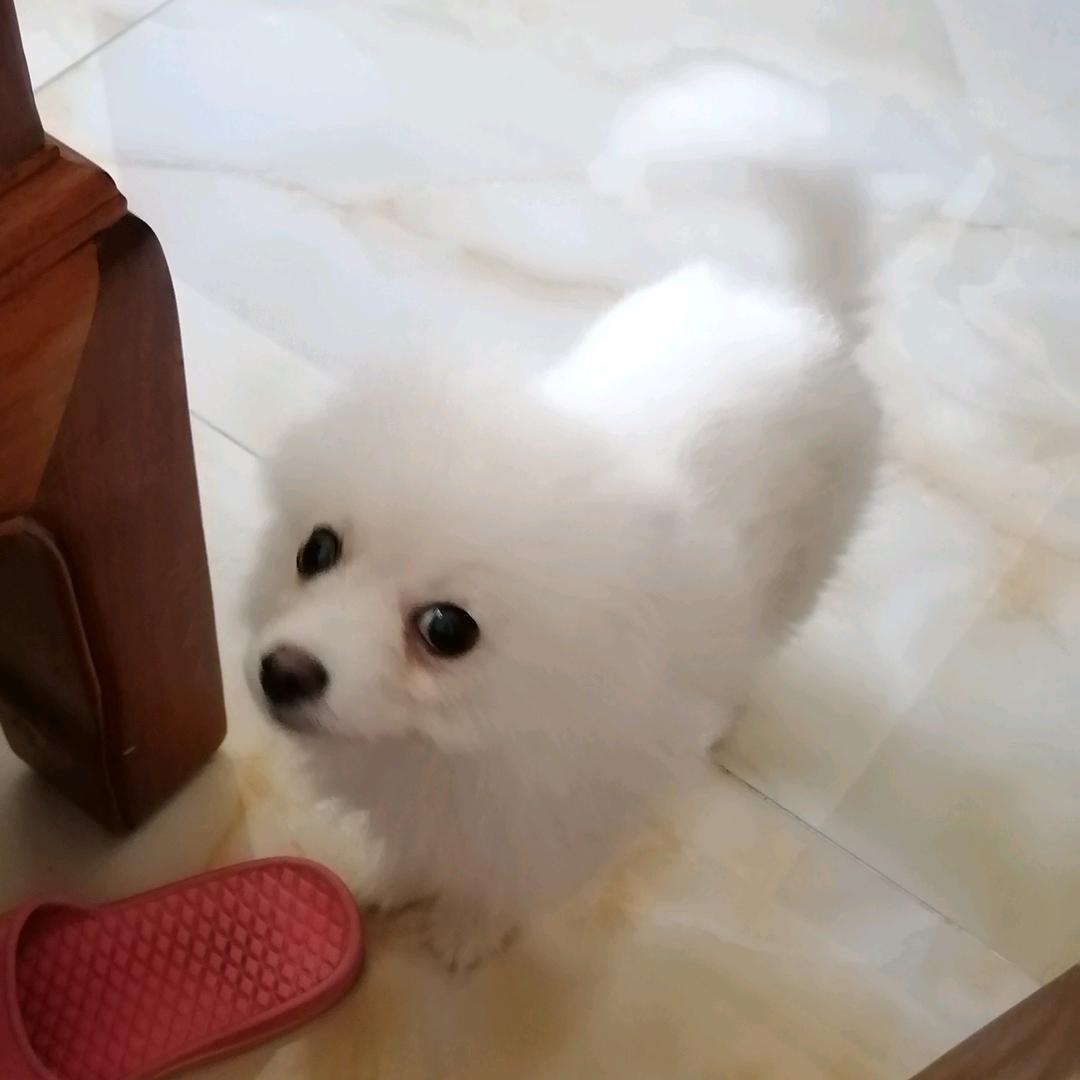 潮汕英姐姐优品