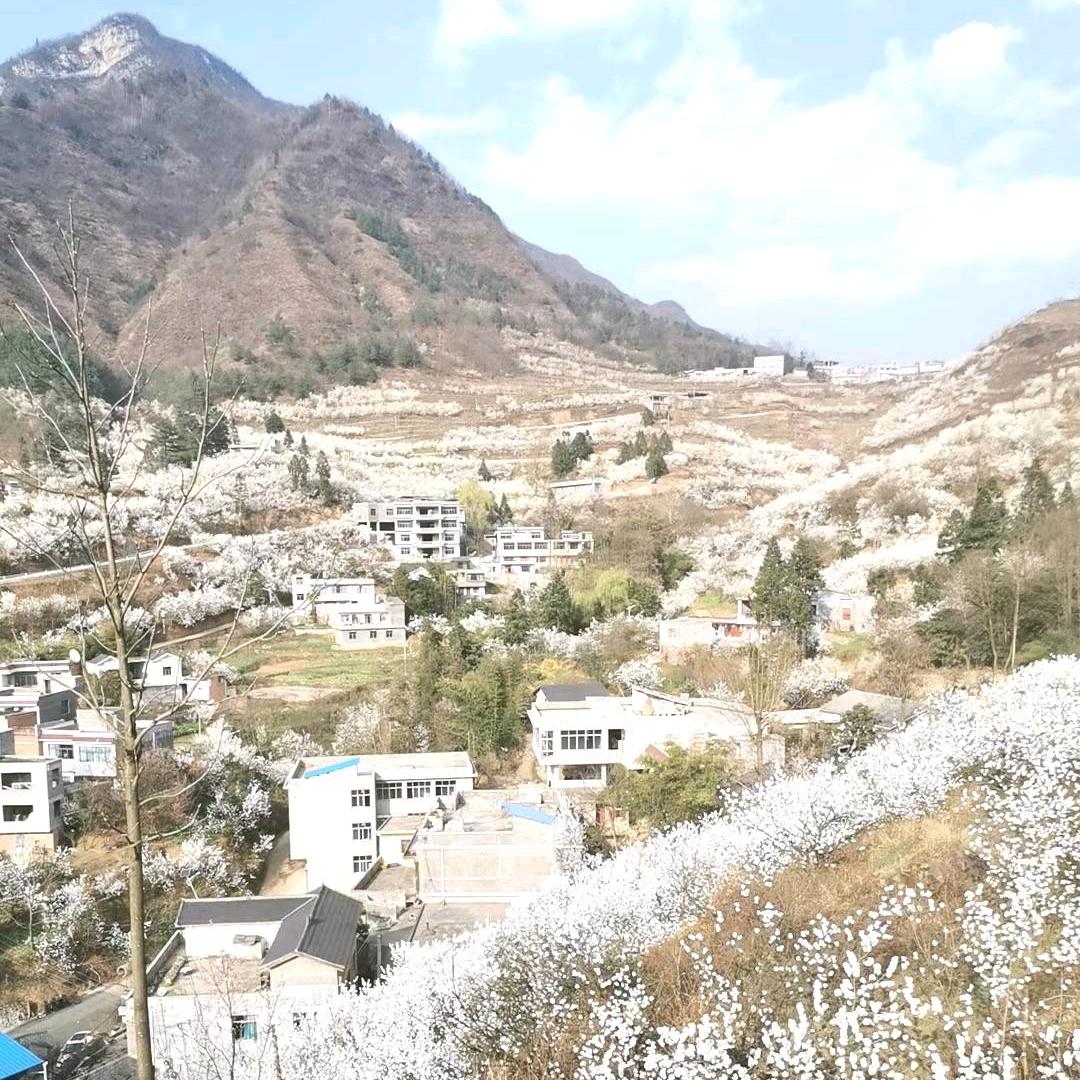 得鹿…梦鱼