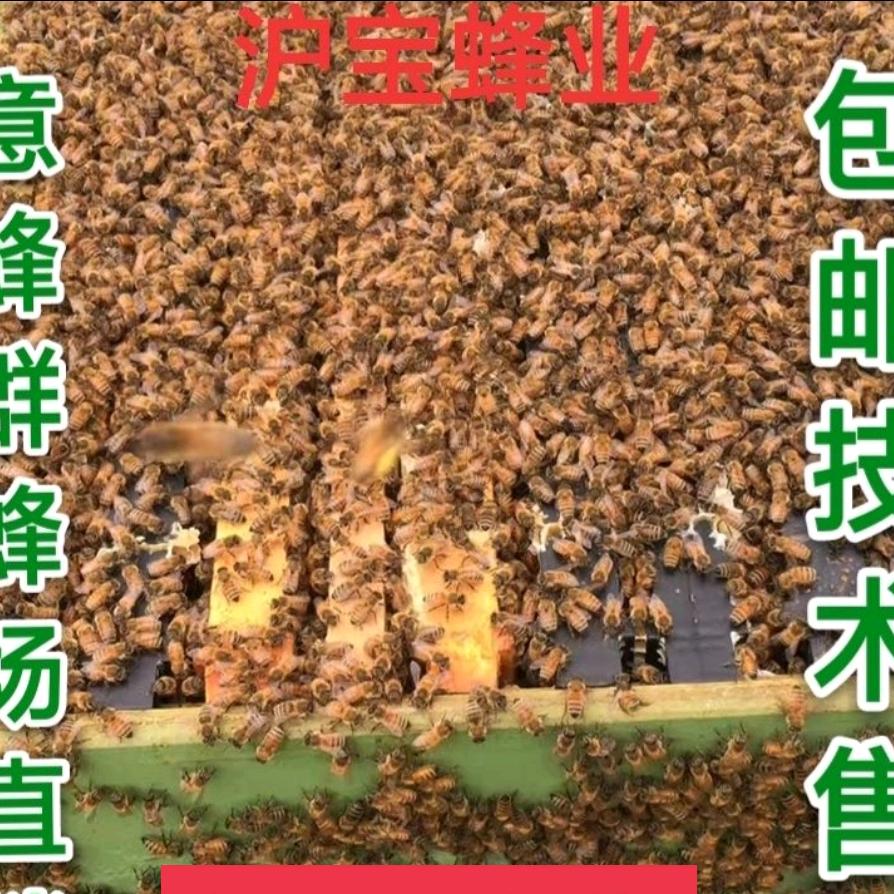 涟水沪蜂产品经营部