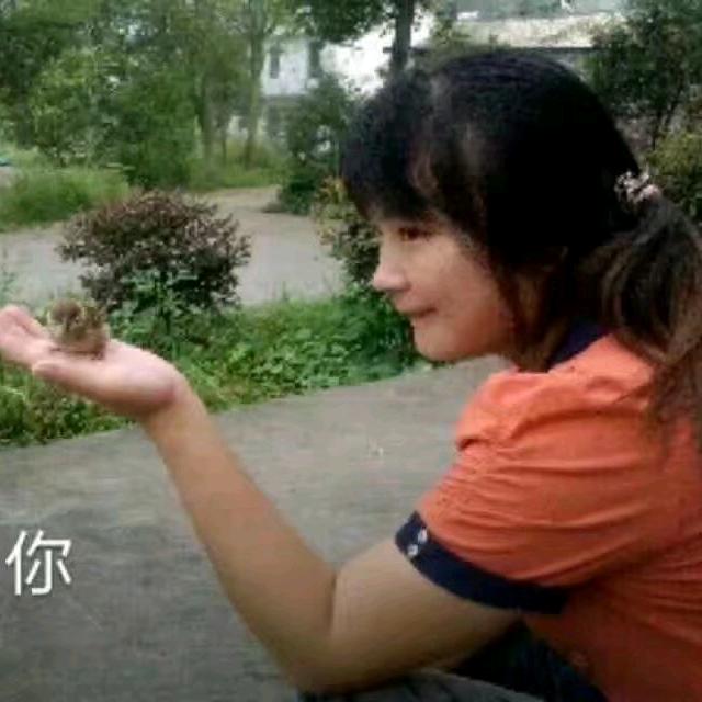 @小陆你好