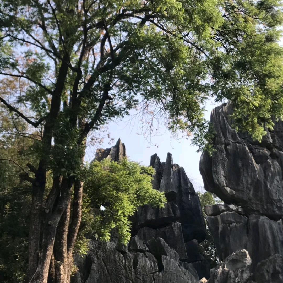 啊斌