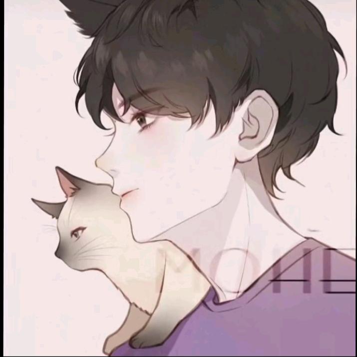 小杨