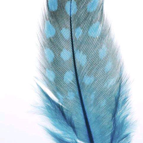 萧乡