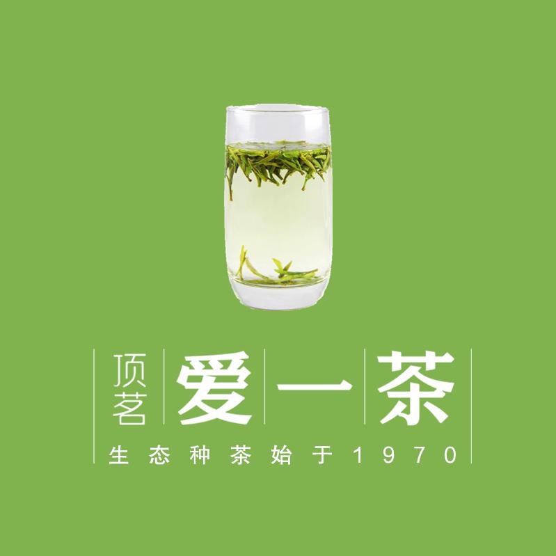 顶茗爱一茶岳西翠兰