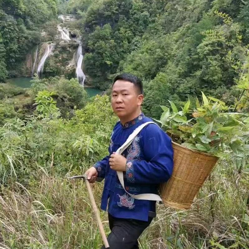 黔山百草人
