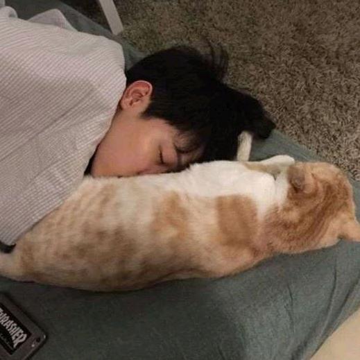 清舟影