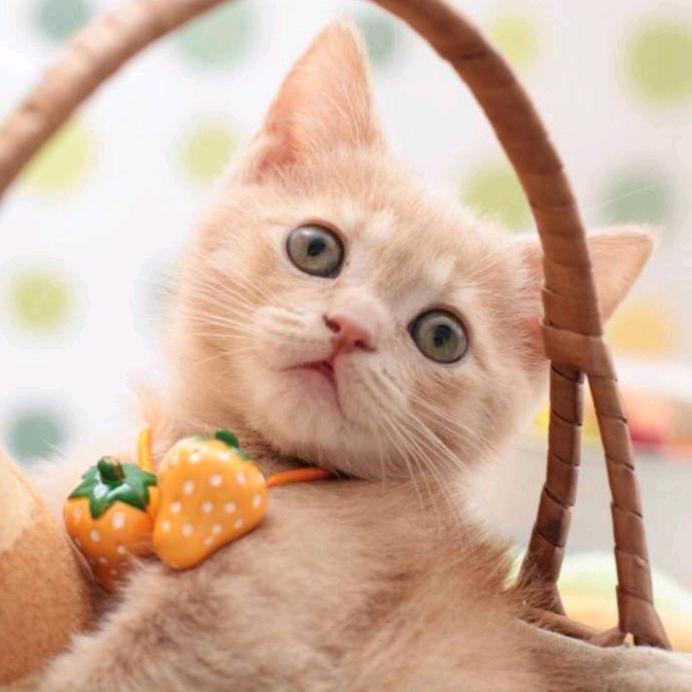 @没你,依然精彩