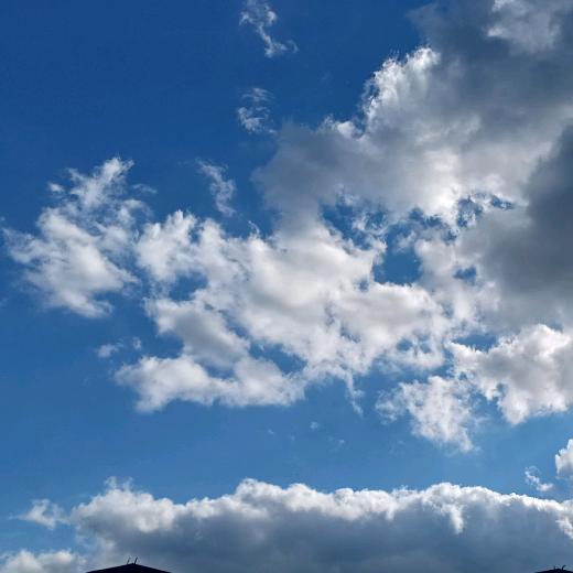 海阔天空🎸🎸🎸🎸
