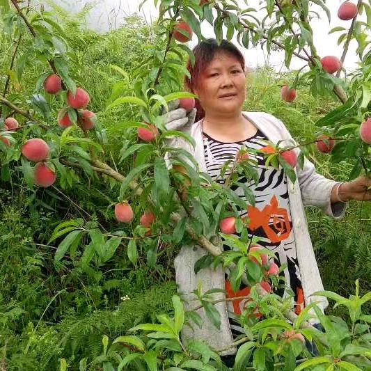,张金娣,往后余生,过好自己