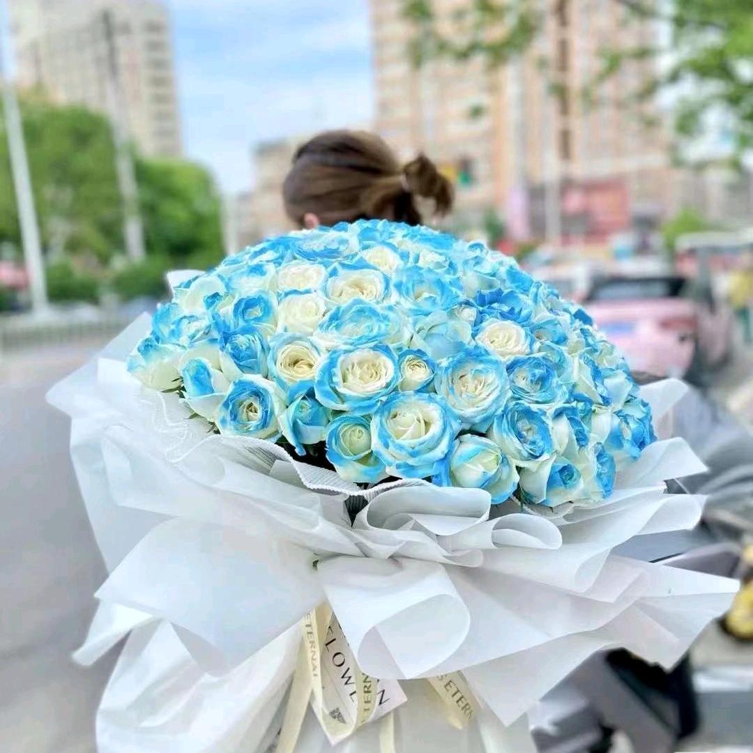 铿锵玫瑰🌹
