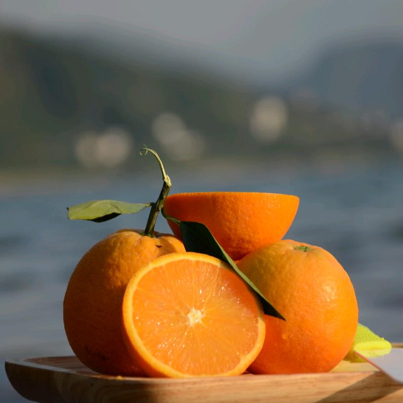 ✿✿ヽ(°▽°)ノ✿柔