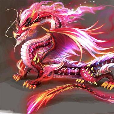 🦚🌈开心🌈龍哥🦚