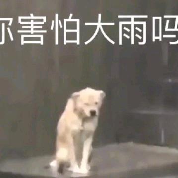 我是个人