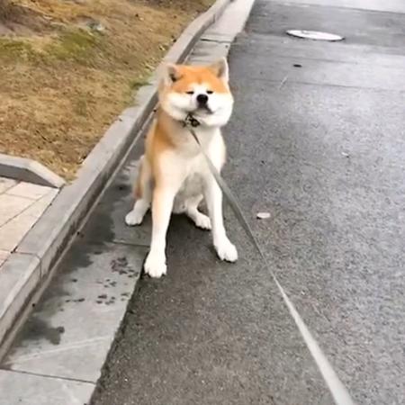 与光同尘7-