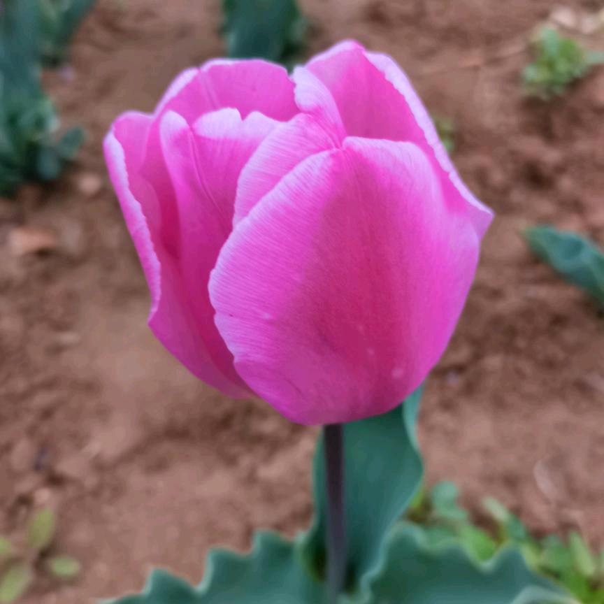 云飘飘（拒私聊）